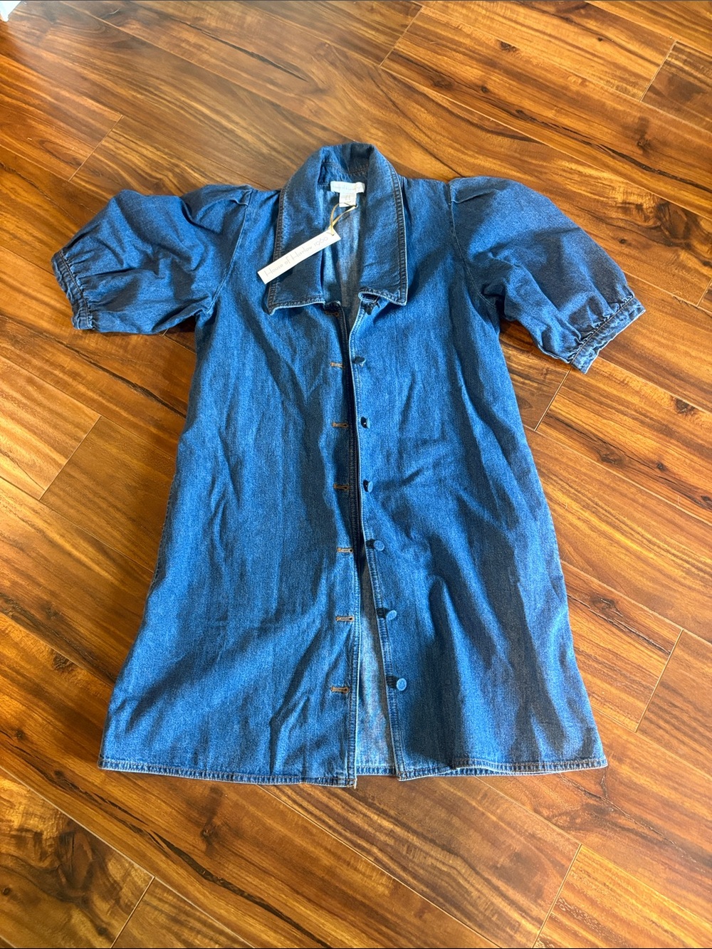 House of Harlow 1960 Blue Denim Button-Front Mini Dress